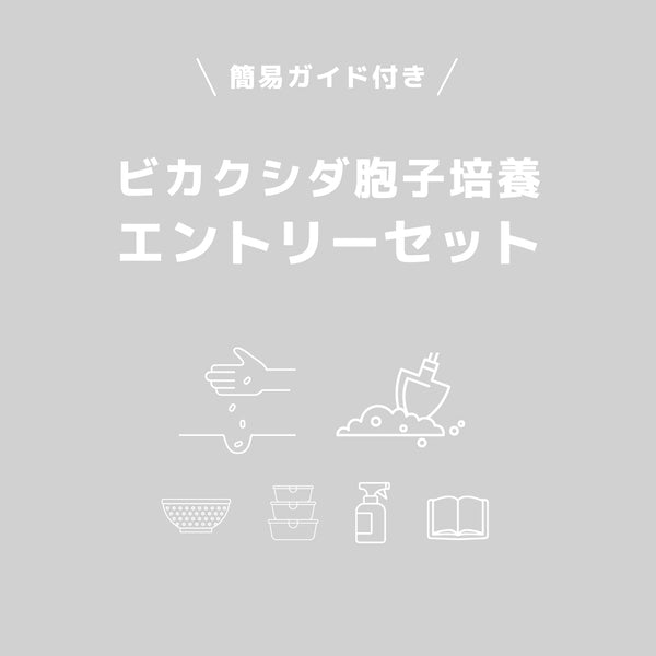 【発芽サポート・簡単ガイド付き】ビカクシダ胞子培養 エントリーセット|初心者向け4品種