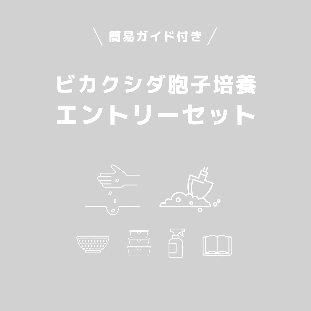 初心者向けビカクシダ胞子培養エントリーセット